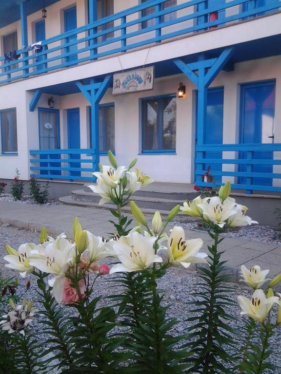 Pension Sharaiman Dunavăţu de Jos エクステリア 写真